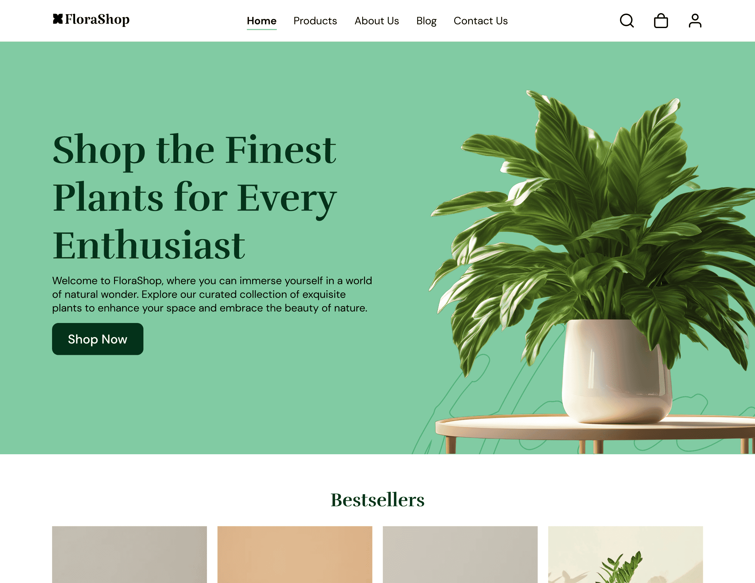 Website Mockup 6