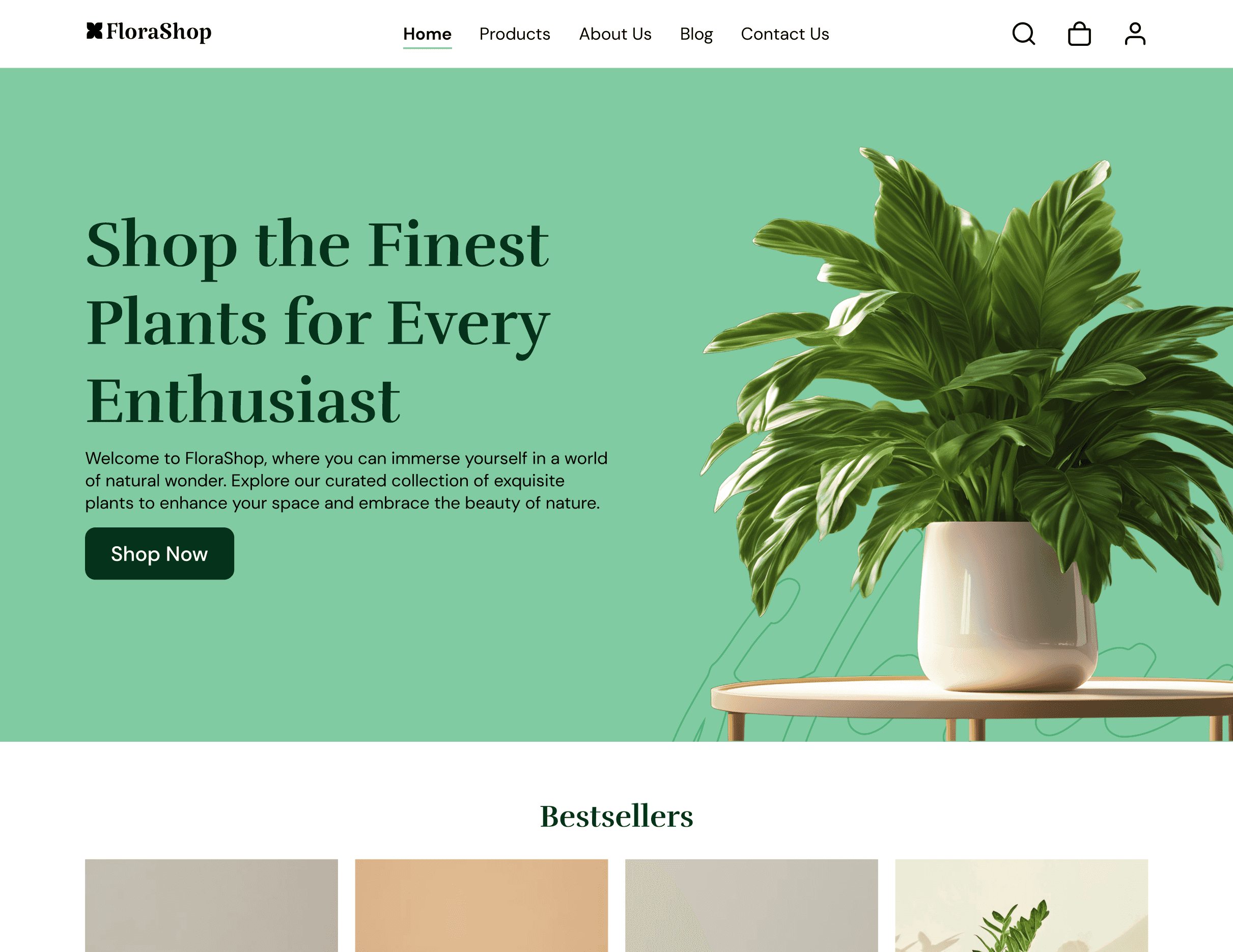 Website Mockup 8